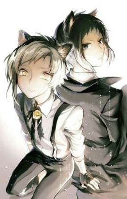 любовь детектива и убийцы.