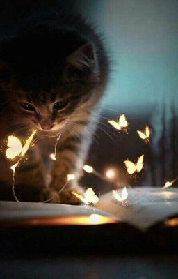 Цитаты из фильмов🎬