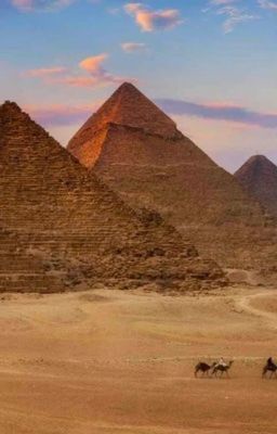 Песнь о красном Ниле