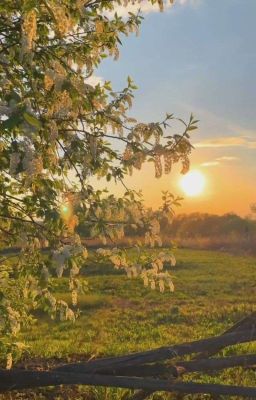 Однажды летом...