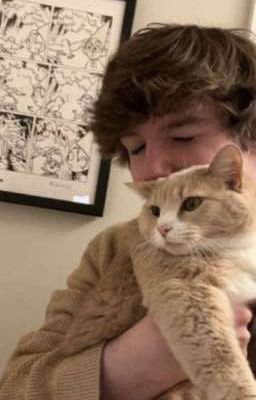 ты мой лучик солнца❤️🩹