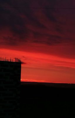 YouTube show /POV Даня Милохин/