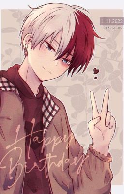 Шото Тодороки и Т/И. История о любви.