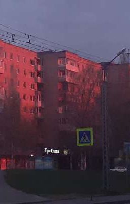 Пряники со вкусом родины