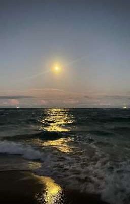 Мафия/Собственник..