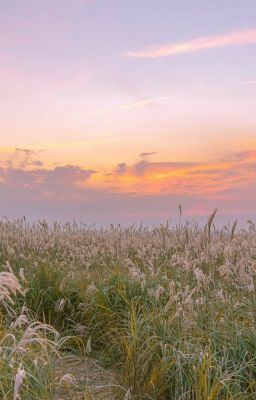 прекрасная летняя история