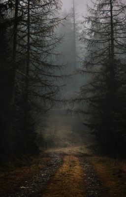 Мир Драконьей Долины