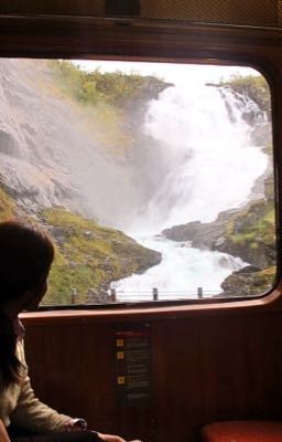 Поезд и жизнь