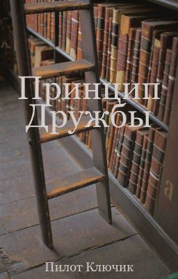 Принцип дружбы