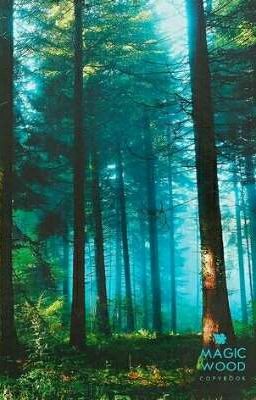 Сердце волка бьётся для эльфийской души