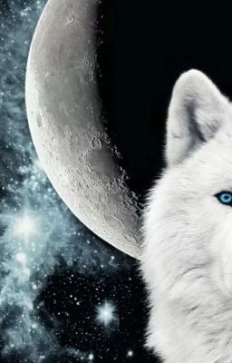 Белая Альфа