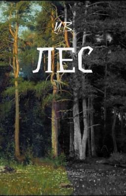 Лес