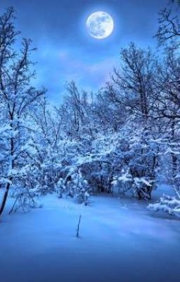 Жизнь Кристиан