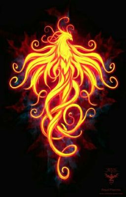 Как я попала в магический мир