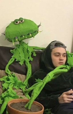 она моя жизнь