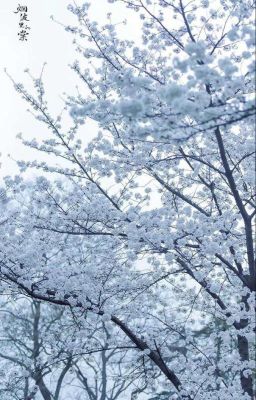 Спустя века. 