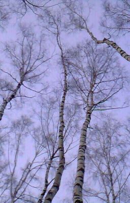 Посторонним Вход Запрещен или Добро Пожаловать