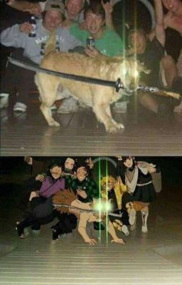 СОБЕЗ (Т/и истории ЗАБРОШЕНО)