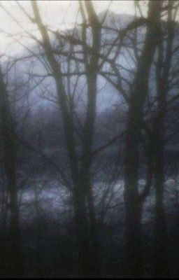 в тёмной глуши.