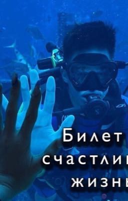 Билет в счастливую жизнь
