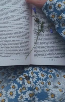 Стихотворения АлёныПутины#