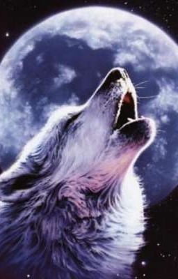 Полнолуние 