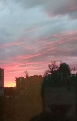 Странная Жизнь 