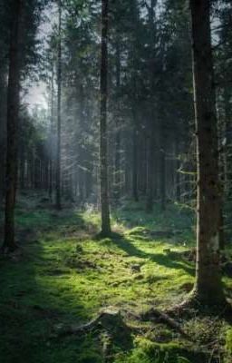 Прокси Кабадатха