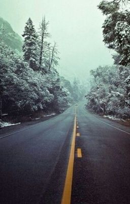 другая жизнь