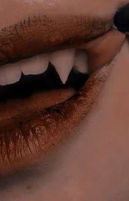 союз 3 семей