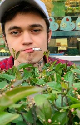 Найденная Сестра {Гон Фладда}.   [закончен]