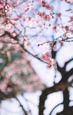 Мой тайный друг