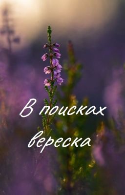 В поисках вереска