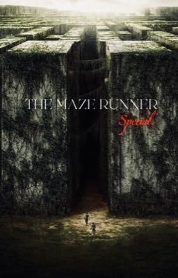 Бегущая в лабиринте.Особенная