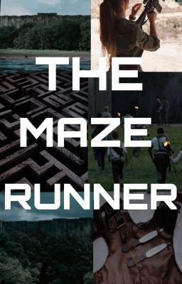 Всегда рядом. Бегущий в Лабиринте 1.