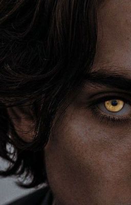 Хранитель полнолуния