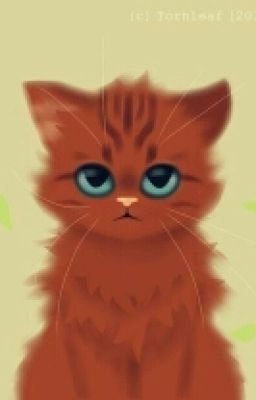 Коты-Воители: Новый Избранник