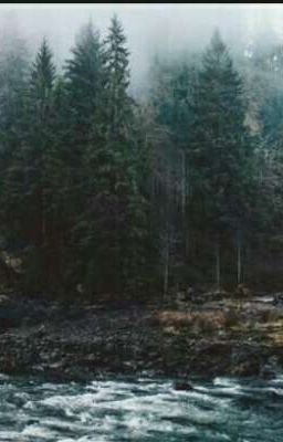 черепашки ниндзя и сёстры клана Луны