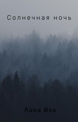 Солнечная ночь.