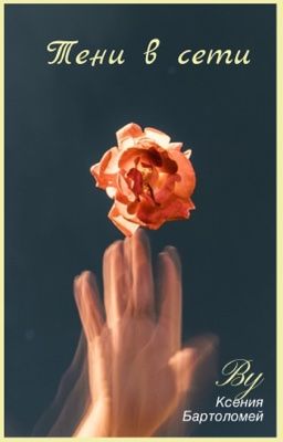 Тени в сети