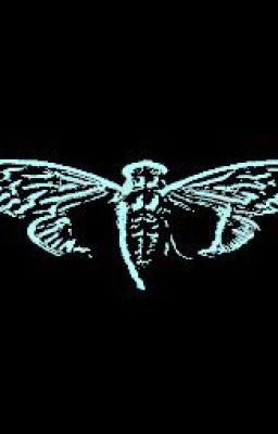 Привет из мира насекомых!