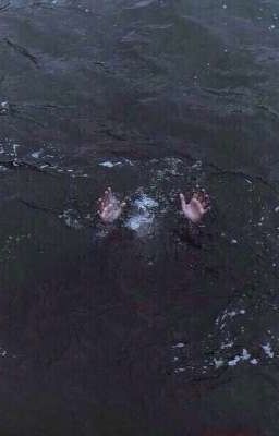 Сборник цытат , фраз и моих мыслей 