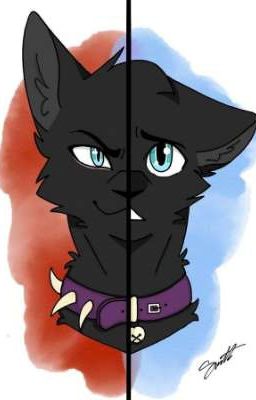 Бич-новая жизнь