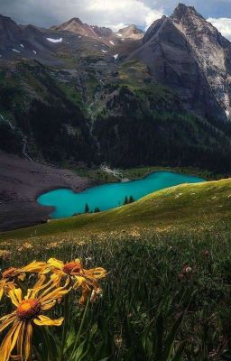 Неудачный поход