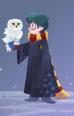 Гарри Поттер и философская бурда