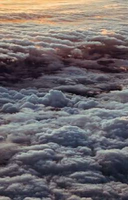 стихи перед разложением