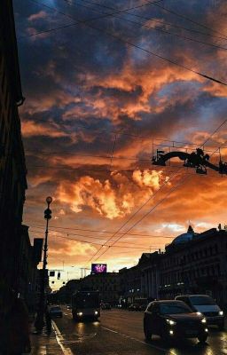 Захватывающие книги в Wattpad🌵