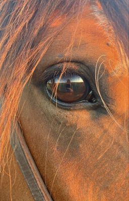 тут моя жизнь