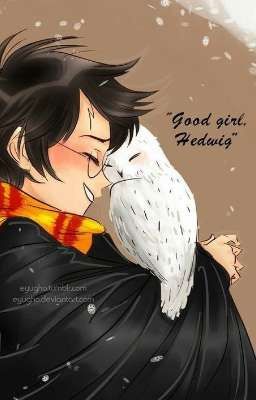 Реакции персонажей ГП (Закончен)