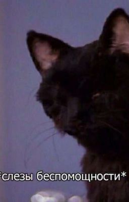 Smile and card house